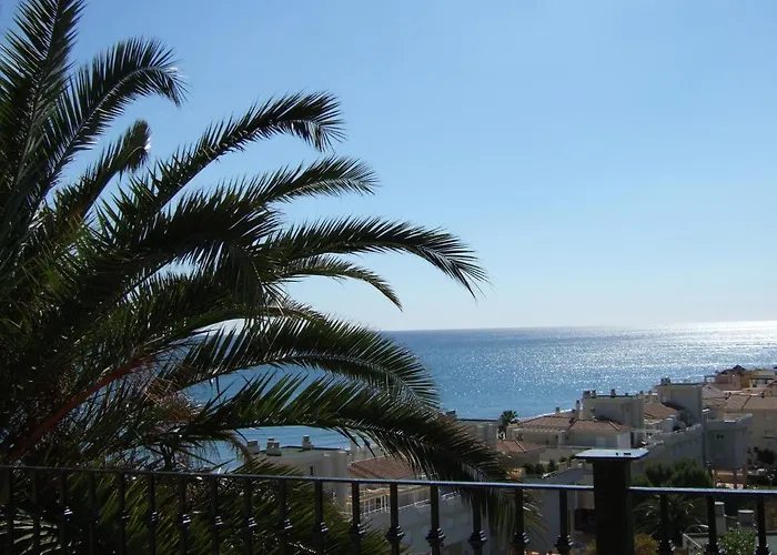 La Palmera Gasthuis 2*