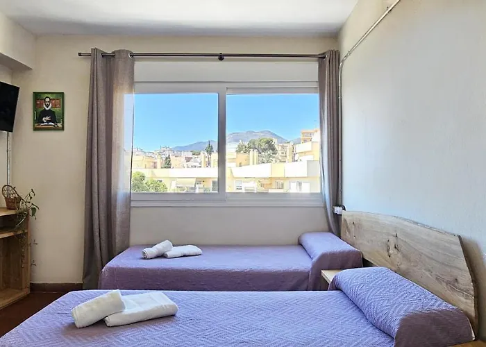 La Palmera Gasthuis 2*