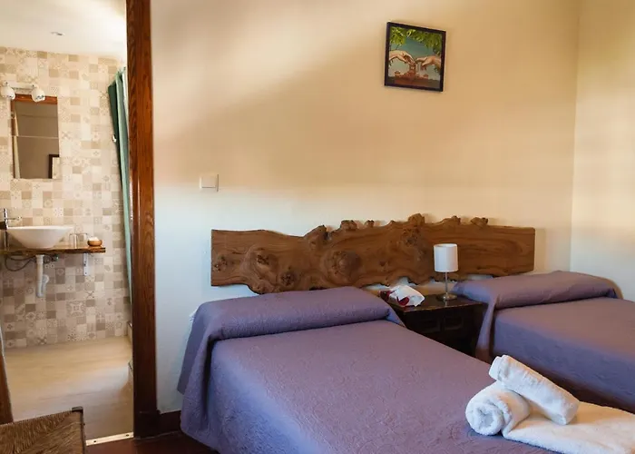 帕尔梅拉旅馆 招待所 托雷莫利诺斯